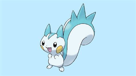 best nature pachirisu.